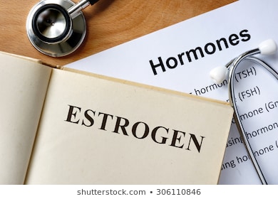 https://image.shutterstock.com/image-photo/estrogen-word-written-on-book-260nw-306110846.jpg